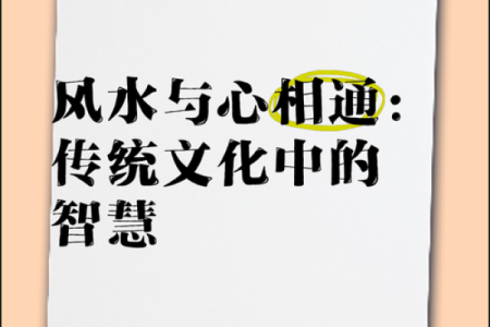 跟随风水命理游学班，探寻古老智慧的力量