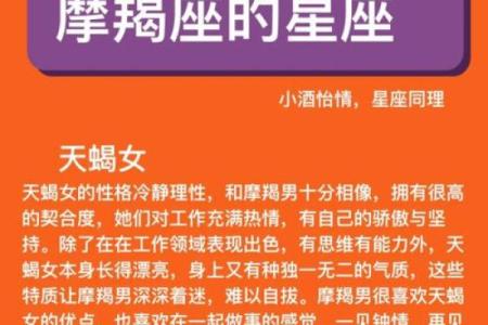 双子与魔蝎：揭秘这对星座的神秘魅力