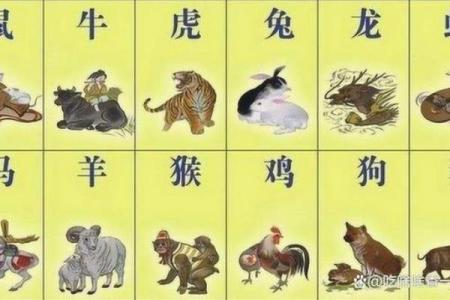 荆猜生肖，揭秘你的生肖运势密码