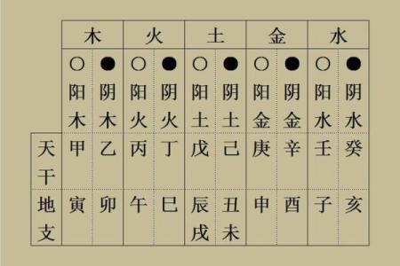 天干对冲图表揭秘：如何快速提升命理准确性