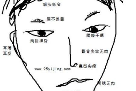 面相识人：揭秘你的命运密码，一窥未来吉凶