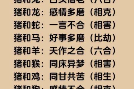 你知道属猪人的五行属性吗？一文带你全面了解
