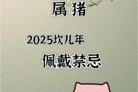 属猪人命理深度剖析：如何掌控自己的未来？