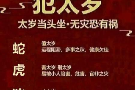 花开富贵：二月生肖运势大揭秘，红红火火过大年