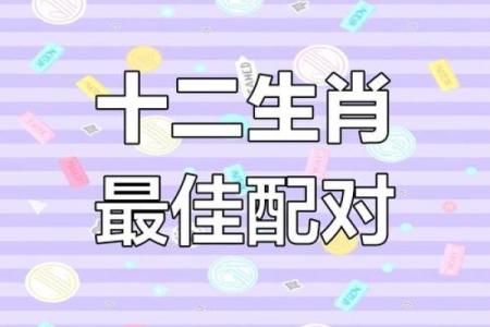龙年生肖配对指南：揭秘最适合你的另一半