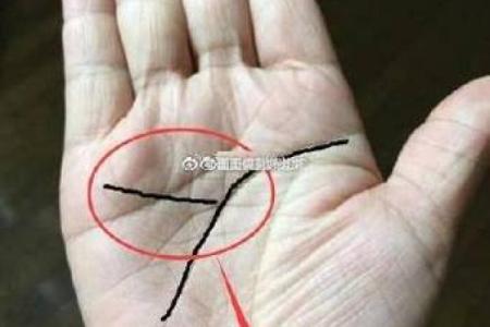 手相智慧线揭秘：中指下的秘密，揭示你的命运转折点