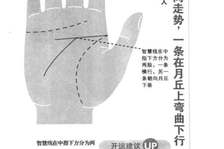 左手相握揭秘：手相秘密大公开