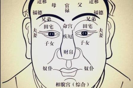 腮消瘦面相揭秘：如何从面相中洞察运势与魅力