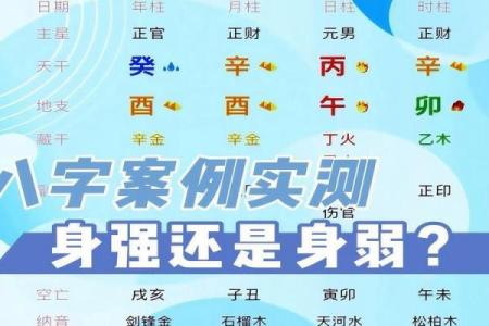 八字揭秘：如何从命盘中找到人生关键
