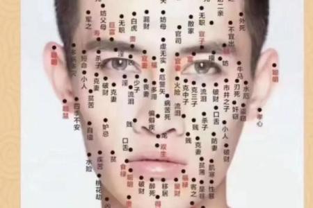 面相九贵骨：揭秘命运转折点，财富、健康、智慧一网打尽