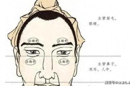 揭秘面相秘密：一眼看穿命运转折点