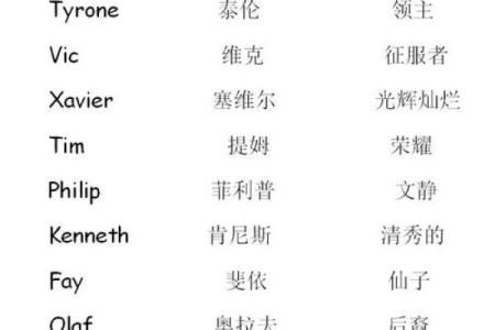 公司起名译音全攻略，打破创意瓶颈