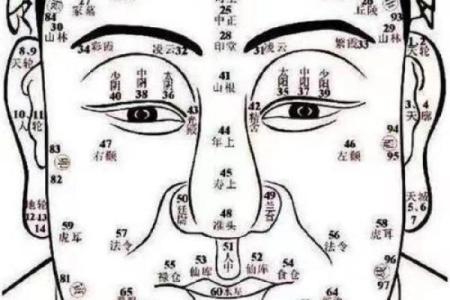 面相手相体相痣相全攻略：掌握人生运势关键