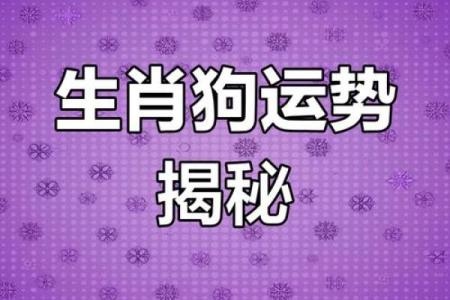 狗年运势佳配：揭秘与狗相配的幸运生肖