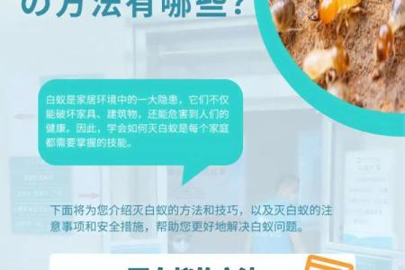 白蚁入侵，揭秘有白蚁房子的风水禁忌与化解之道