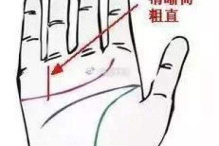 女人手相财运揭秘：财运线到底暗示了什么？让你的财运一飞冲天