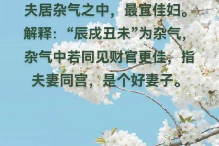 如何通过命理看妻掌夫权的命运轨迹