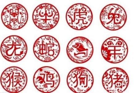 美女属相配对秘籍，邂逅你的命中注定