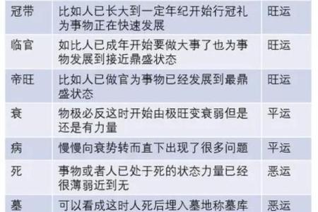 深入理解十天干的喜忌关系，助你把握命运