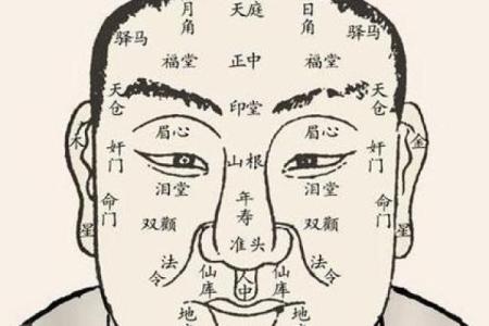 揭秘12宫面相：揭秘命运之谜，一眼看穿你的未来