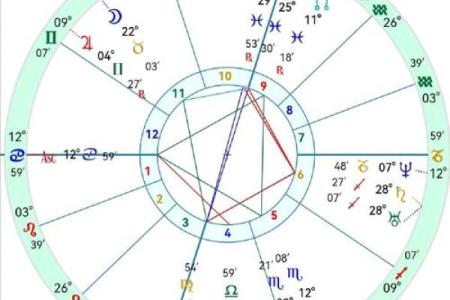 探索杨五行属性，揭开命运之谜