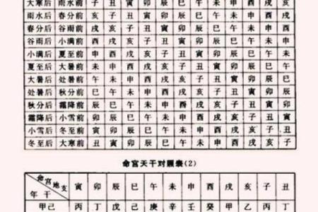 如何通过生存分析看懂命理的深层含义