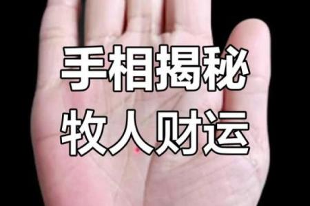 揭秘女财运旺手相掌握财富密码，轻松吸引滚滚财源