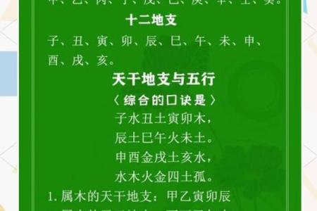 了解己日天干，解锁你的人生潜力与好运