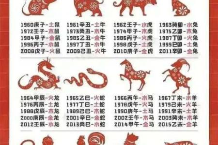 年出生是什么命？揭秘你的命理密码