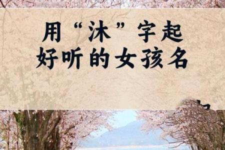 沐字命名技巧，打造响亮品牌的第一步