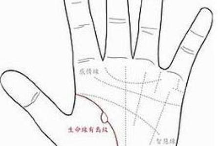 手相与风水命理：解锁命运的隐秘密码