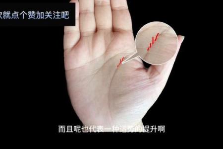 手相揭秘：女人通关手的命运密码，一招看穿运势起伏