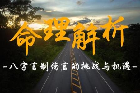从无意八字命理看你的人生挑战与机遇