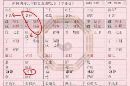 最受欢迎的命理分析理论，哪种才是正确答案？