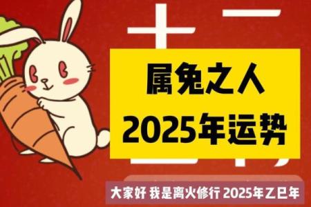 丙寅年属兔运势揭秘：财运亨通，事业腾飞