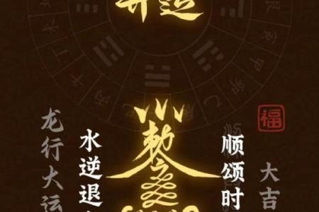 鼠命理中的颜色密码，提升个人运势的秘密