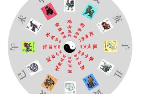天灵盖面相揭秘：揭秘你的命运密码
