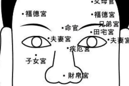 额头决定命运：揭秘额头面相的秘密，你了解多少？
