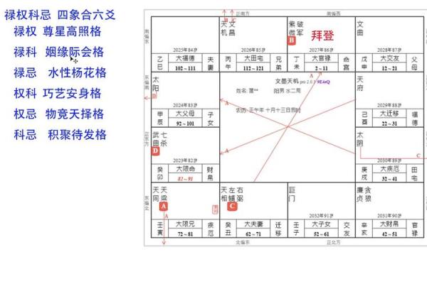 钦天紫微斗数排盘技巧大揭秘，精准预测未来走势