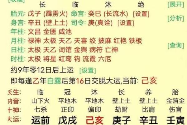 高学历八字与成功命运的关系，专家解读