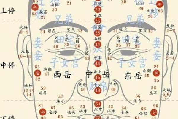 面相揭秘：掌握提相秘诀，瞬间提升运势