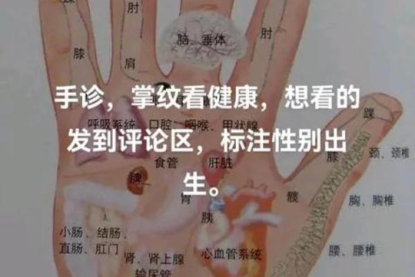 手心手背一家亲：揭秘惊人相似手相背后的秘密