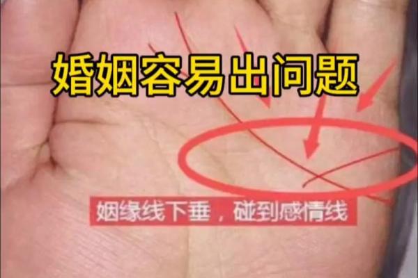 手相揭秘：感情线与婚姻线完美交融，揭秘你的幸福密码