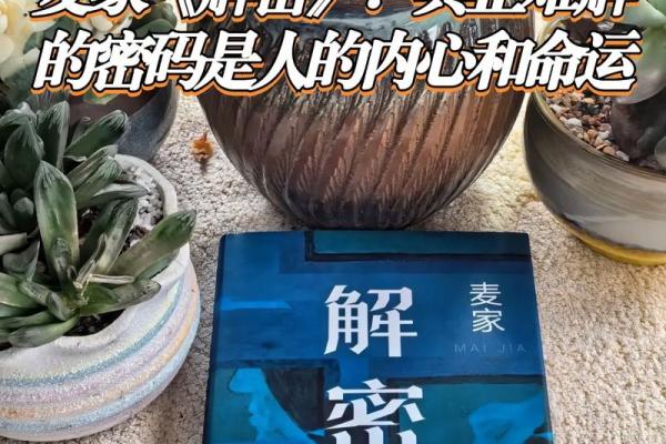 揭秘土命人：你的命运密码藏在哪里？