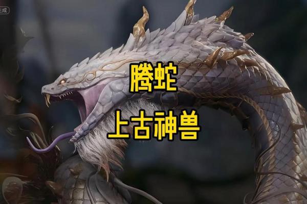 揭秘腾蛇入口，揭秘面相中的神秘力量