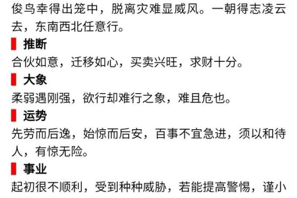 2024年生肖运势大揭秘：你的属相吉凶如何？