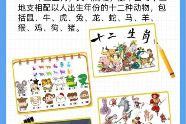 龙鼠情深，相配之谜揭晓