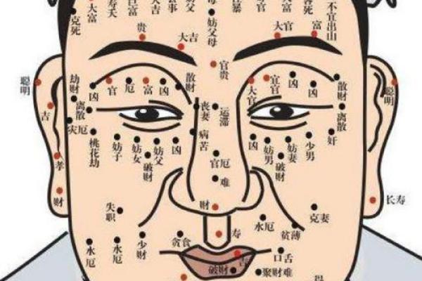 粗眉藏福，细眉聚财：揭秘眉毛粗细背后的面相秘密