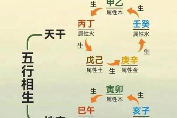 2018年出生宝宝五行命理揭秘：揭秘你的五行运势