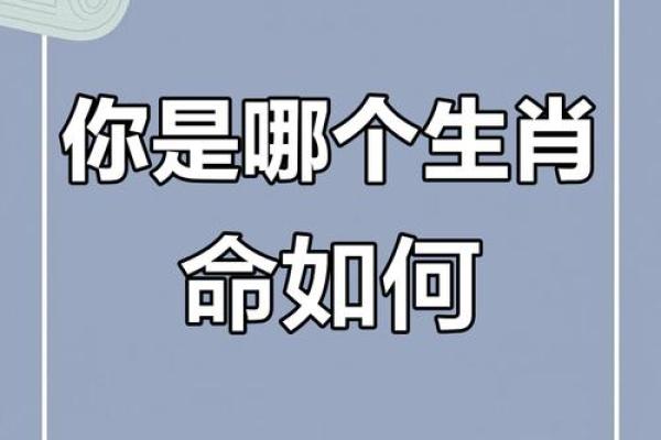 天上生肖，揭秘你的命运之谜